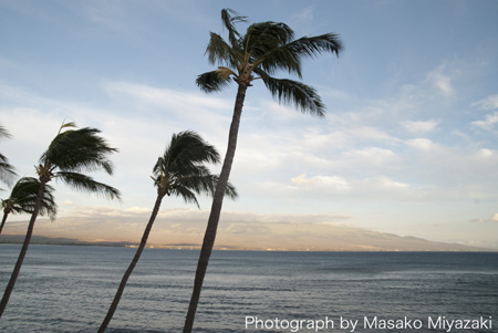hawaii-1-12b.jpg